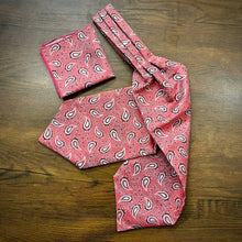 Load image into Gallery viewer, Carrot Red Pink floral paisley ascot cravat tie neck scarf for men in pakistan